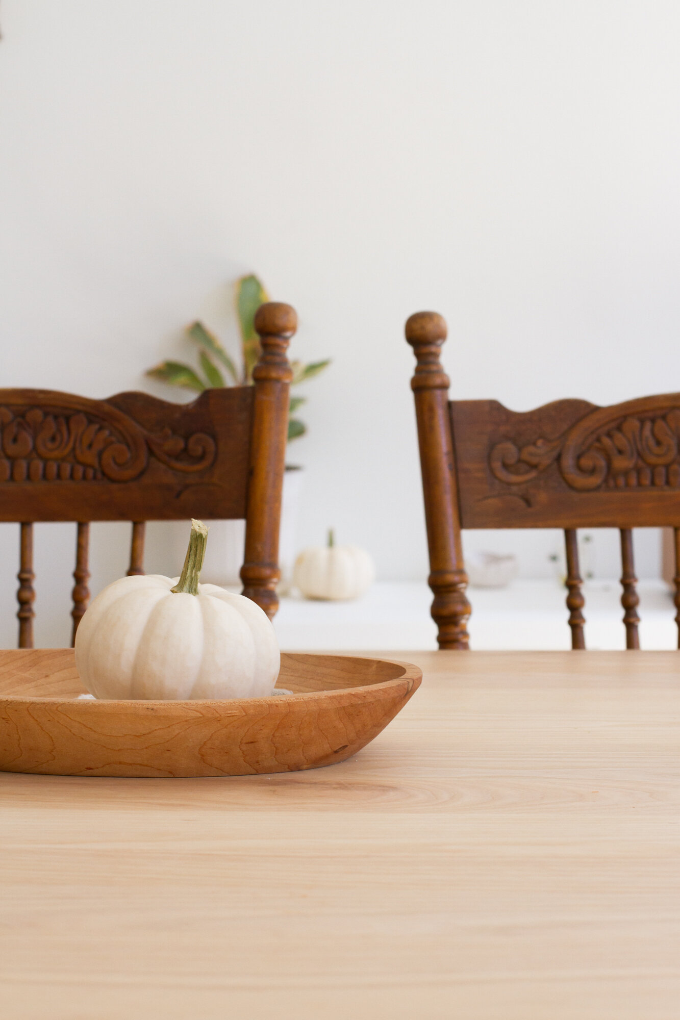 white pumpkins | reading my tea leaves