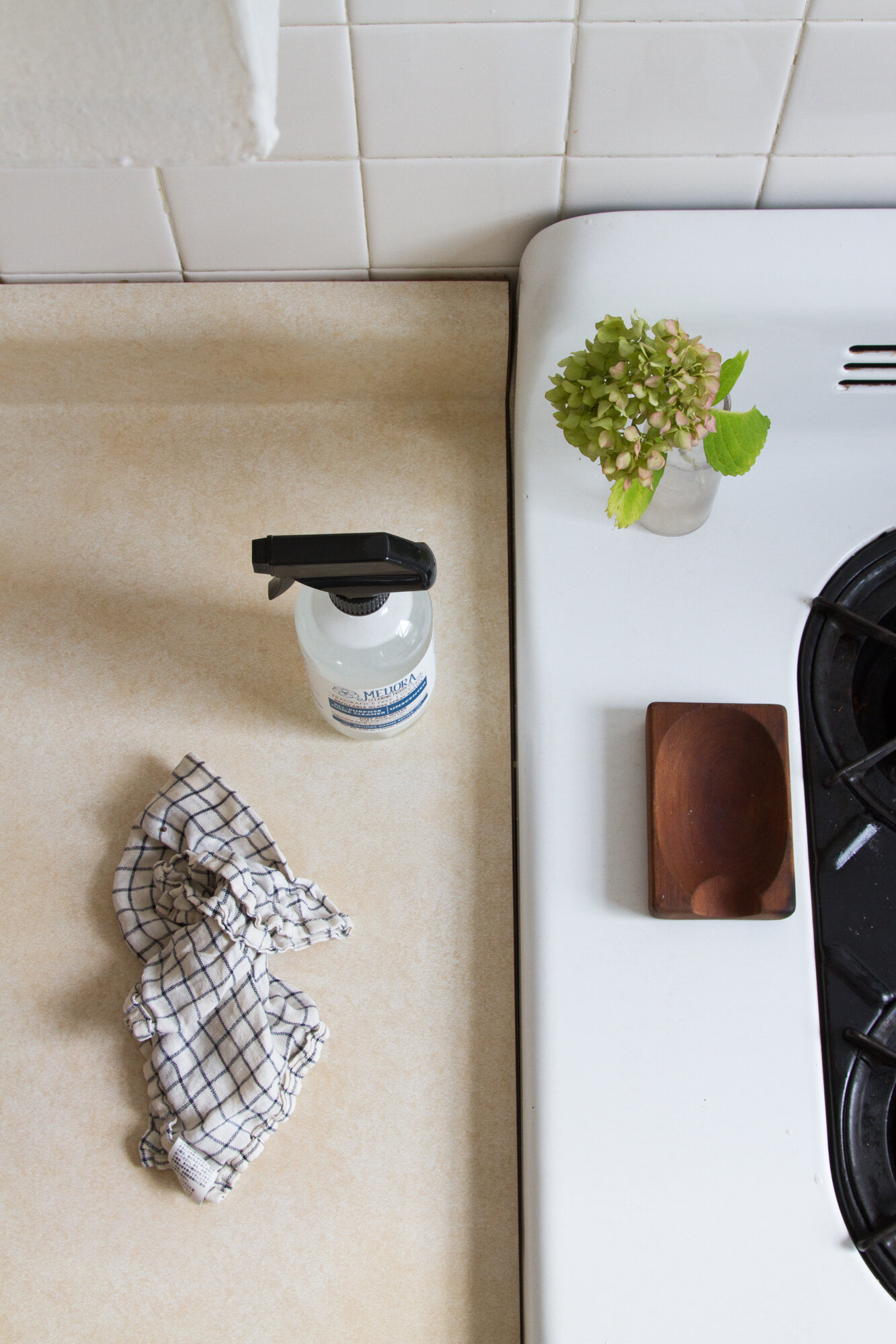 mightyfix from mightynest | reading my tea leaves