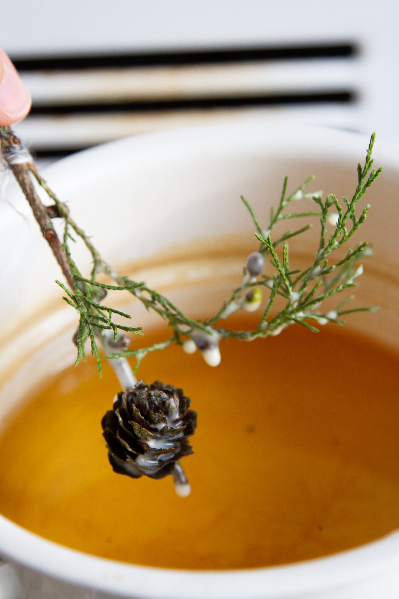 beeswax fire starters | reading my tea leaves