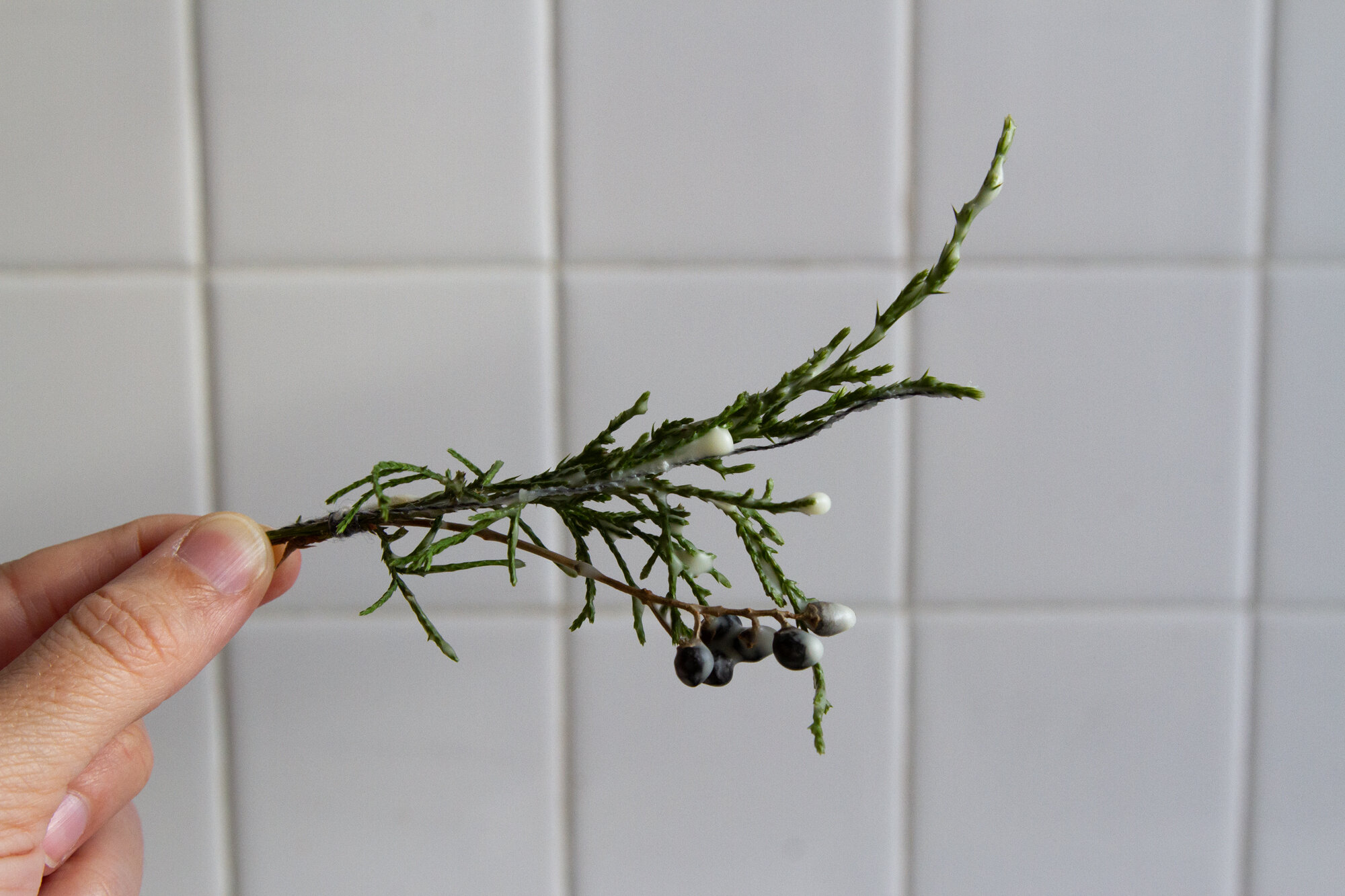 beeswax fire starters | reading my tea leaves