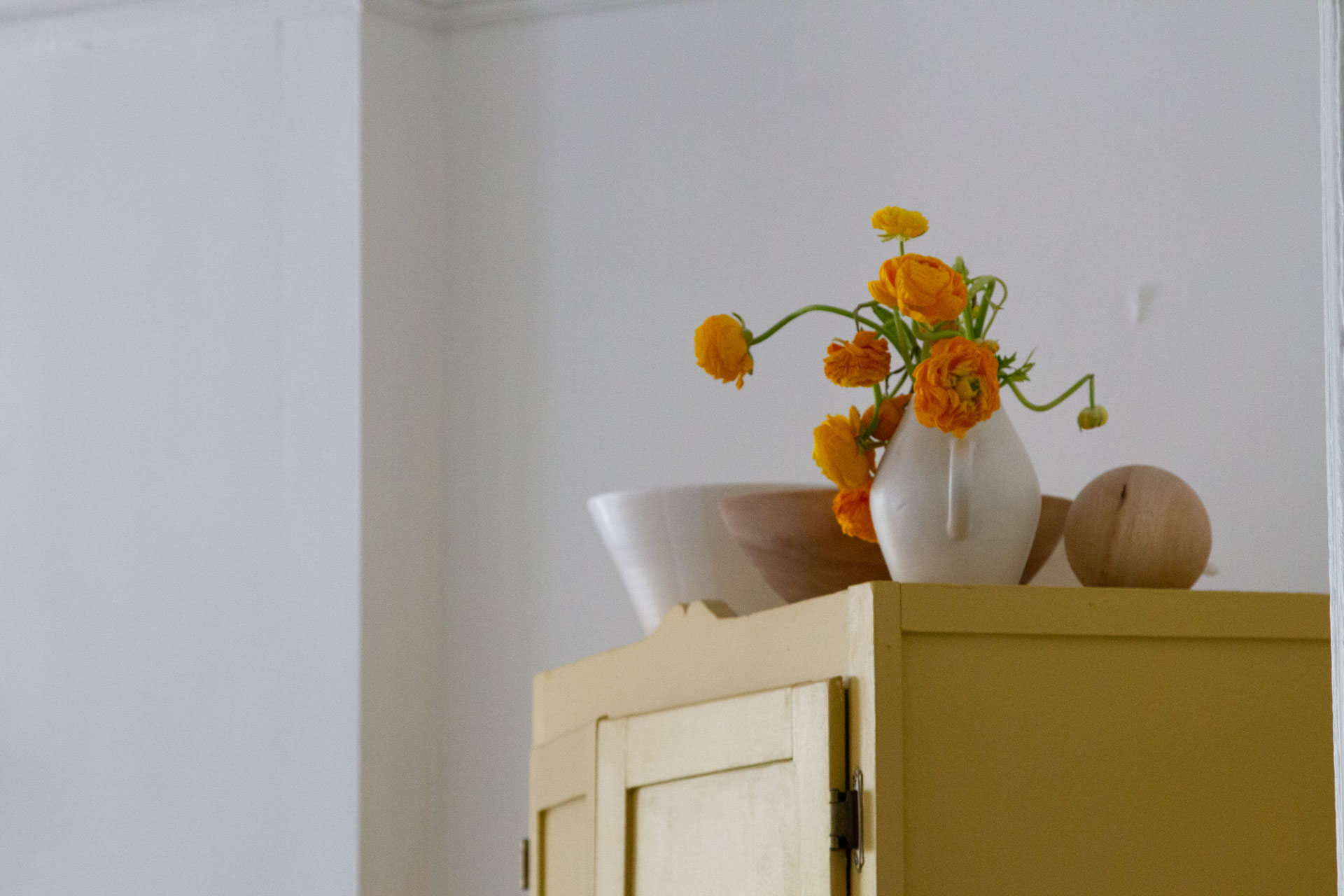 yellow dresser yellow ranunculus