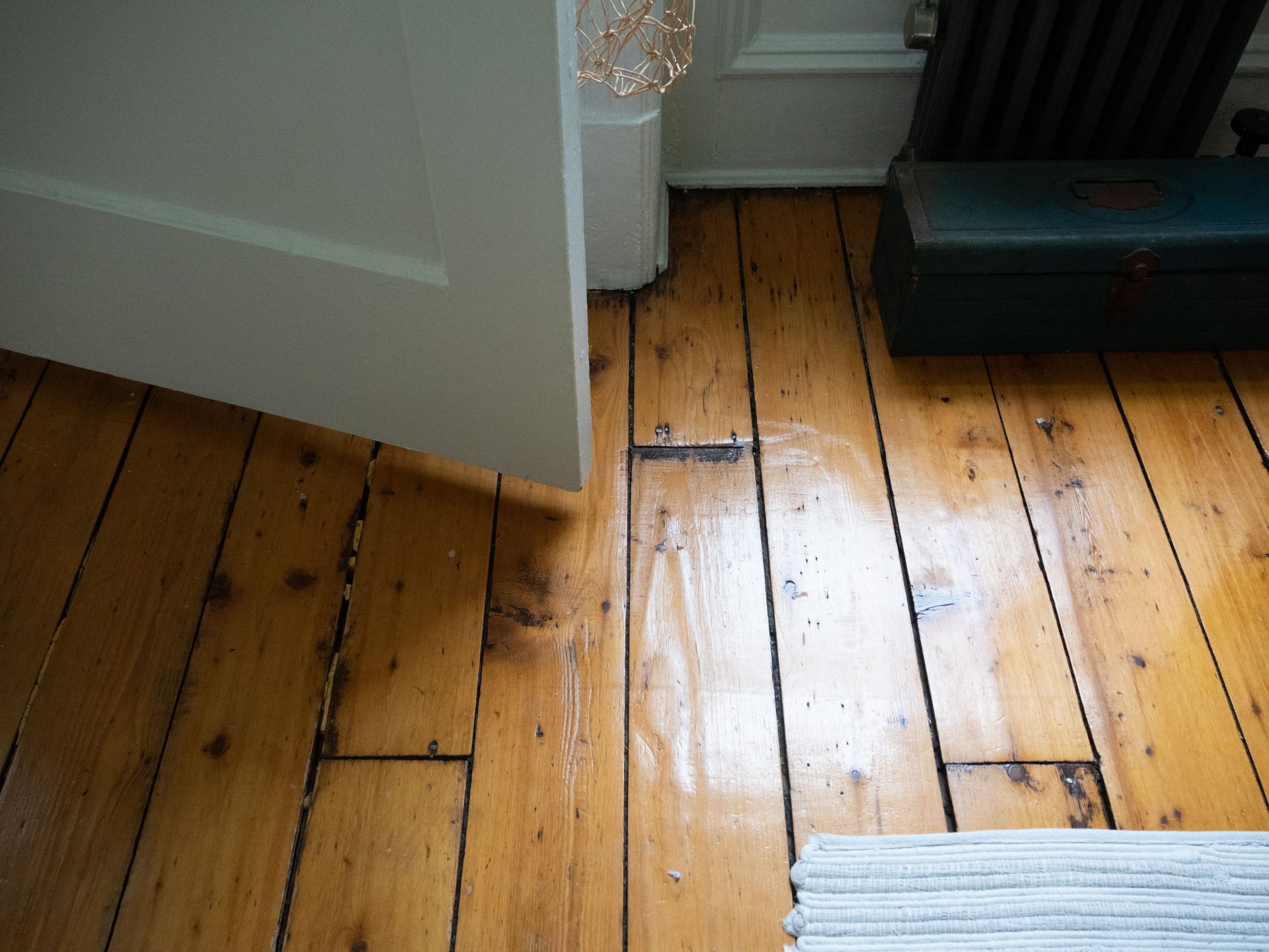softwood pine floor